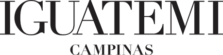 logo da empresa Iguatemi
