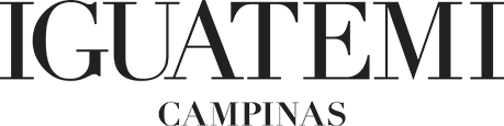 logo da empresa Iguatemi